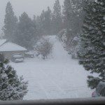 snow scene
