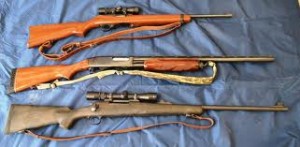 These three long guns are good, reliable choices for the beginner with no experience.