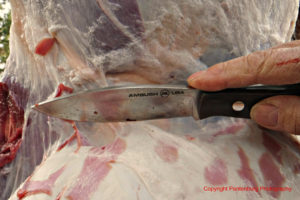 Bark River Knives, Bark River Tundra, best belt knife, best survival knife