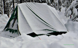 This tent is completely anchored with deadheads on top of about eight feet of snow.
