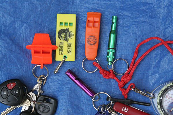 32 Pieces Safety Whistle Double Tubed Plastic Whistle Safety Signal Whistle Non-Brittle Emergency Whistle Marine Whistle with Lanyard for Safe Boating Camping Hiking Backpacking Emergency Signaling 