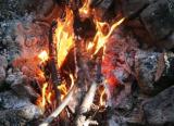 Can you find dry firemaking materials during inclimate weather?