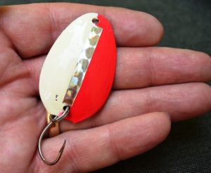 This spoon fishing lure was made from a common kitchen spoon. It works very well! (Pantenburg photo)