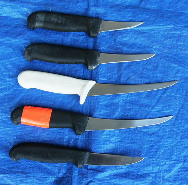 fillet knife blade lengths Survival Common Sense Blog Emergency