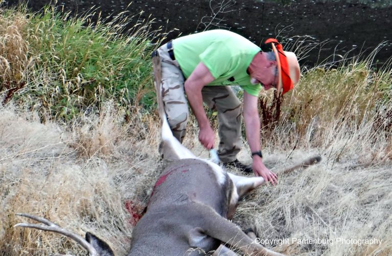 guttingmuledeerjdr1 Survival Common Sense Blog Emergency