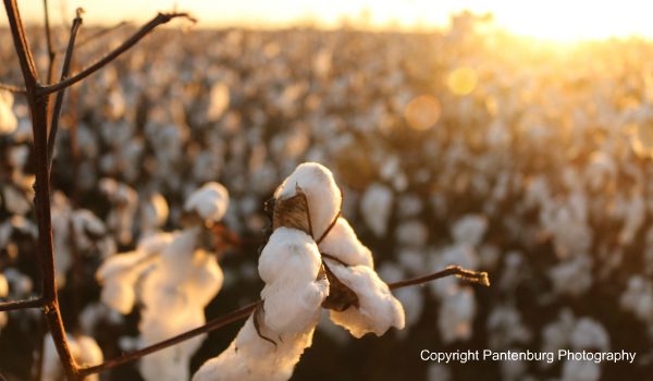 Cotton kills | Do not choose this material for outdoor wear – Survival ...
