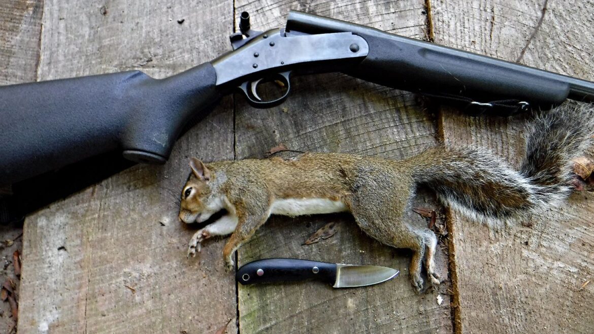 single shot shotgun and squirrel Survival Common Sense Blog Emergency Preparedness