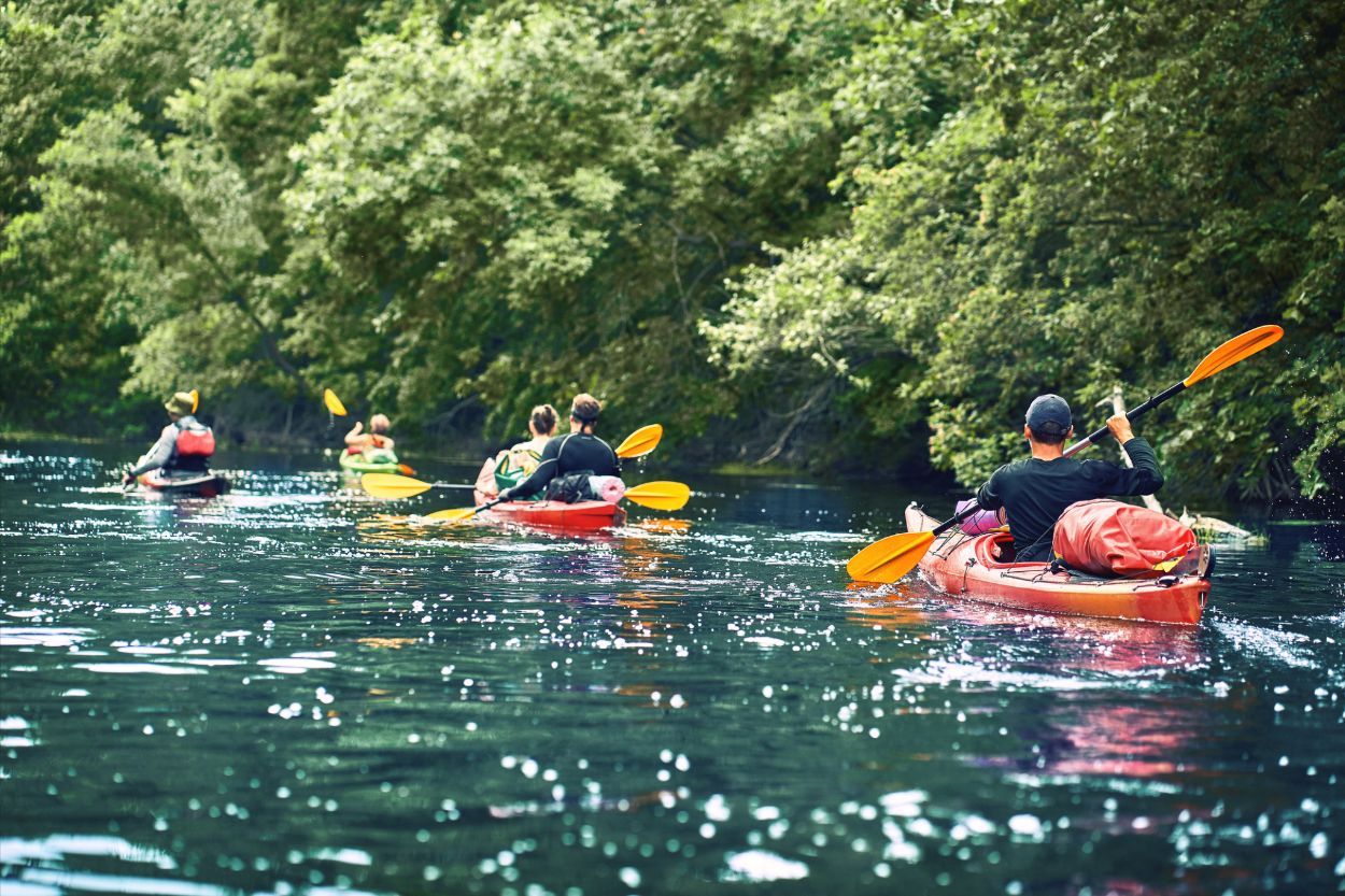 people kayaking a river lined with trees