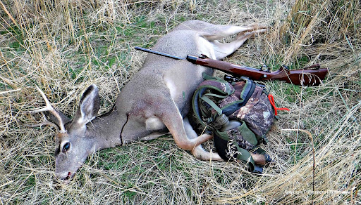 buck harvested with Remington Model 700 in 7mm-08.